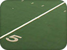 arena league champions