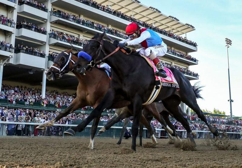 John Velazquez aboard Medina Spirit (8) leads the field down the stretch to win the 147th running of the Kentucky Derby at Churchill Downs. . - Louisville Courier Journal-USA TODAY Sports Preakness Stakes Horses: Favorites, Contenders, & Long Shots
