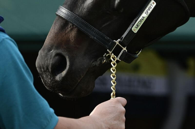 Medina Spirit stands out side the stakes barn after the morning work out at Pimlico Race Course on May 12, 2021. - Tommy Gilligan-USA TODAY Sports Odds for Medina Spirit to Win the Triple Crown