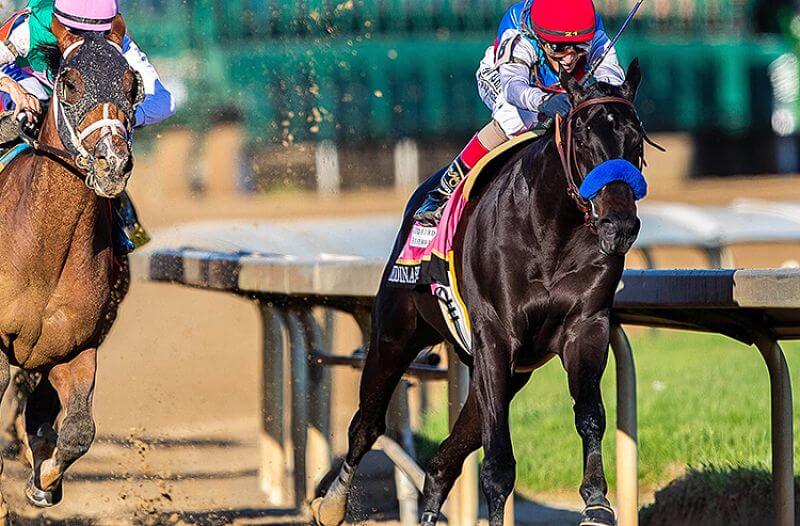 John Velazquez Medina Spirit Kentucky Derby 2021 Preakness Stakes Odds: Medina Spirit Favored