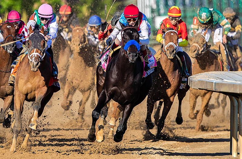 Medina Spirit Preakness Stakes Best Bets and Trifecta Pick