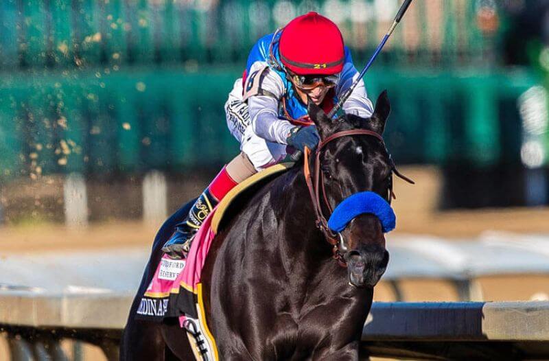 Medina Spirit John Velazquez Kentucky Derby Churchill Downs Kentucky Derby Results: Past Winners & Payouts