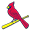 St. Louis Cardinals