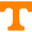 Knoxville Volunteers