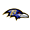 Baltimore Ravens