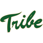 home team logo