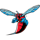 TeamLogo