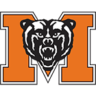 home team logo
