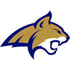 TeamLogo