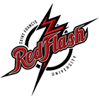 TeamLogo