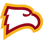 home team logo