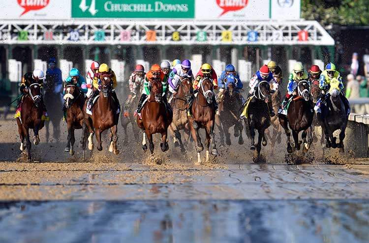 Kentucky derby race betting picks