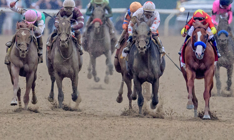 free horse racing picks today parx casino
